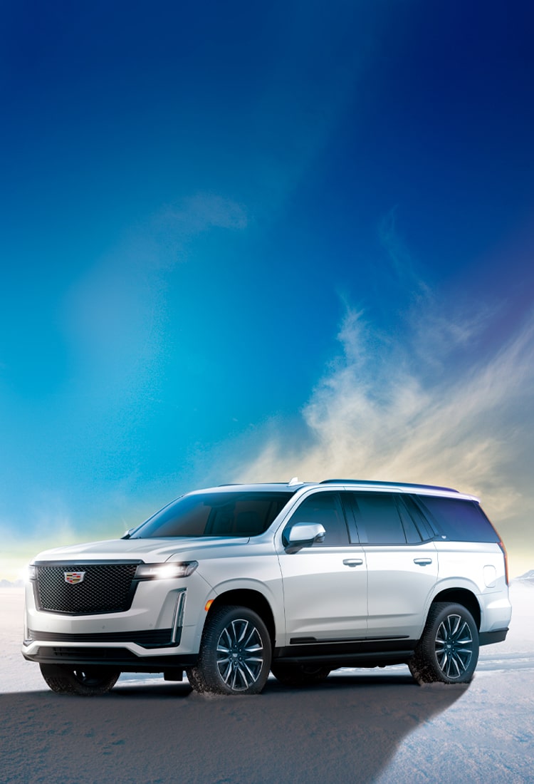 Escalade White Edition