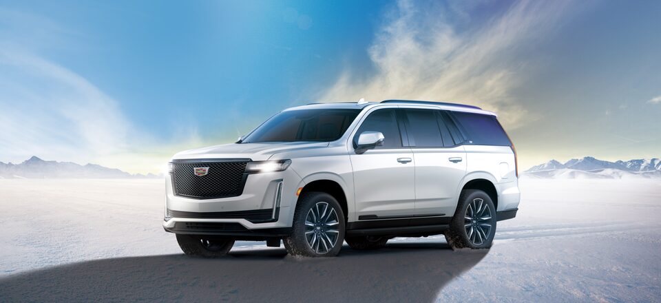 Escalade White Edition