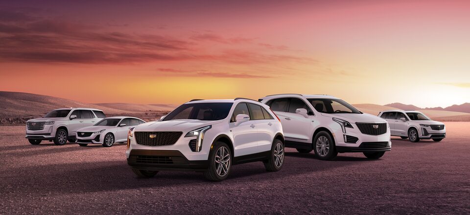 キャデラック ジャパン公式サイト Cadillac Japan ラグジュアリーsuv ラグジュアリーセダン