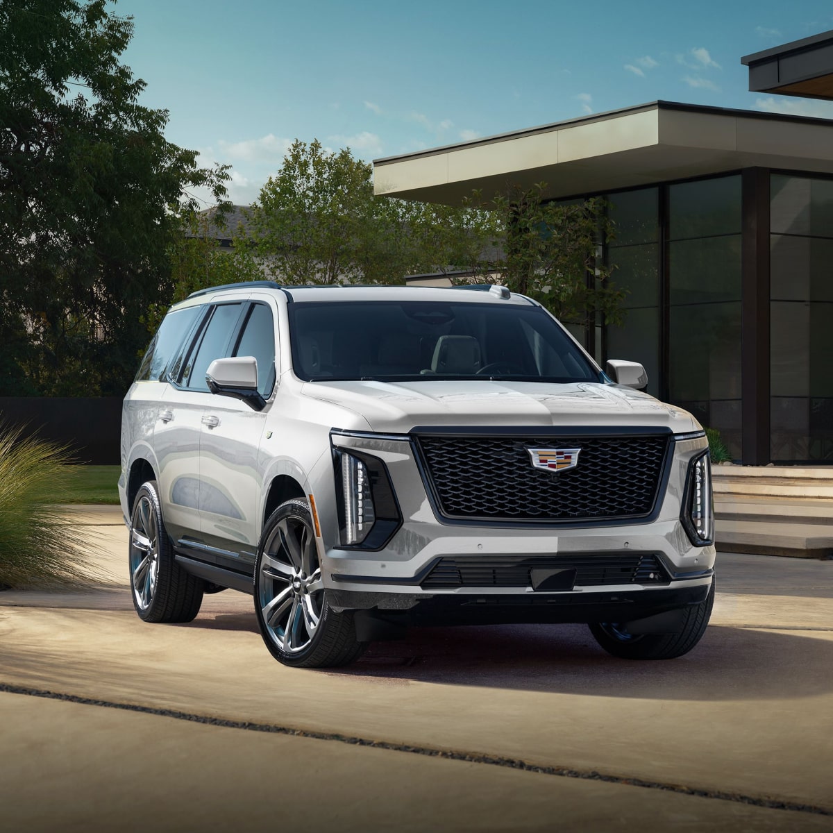 ESCALADE GALLERY