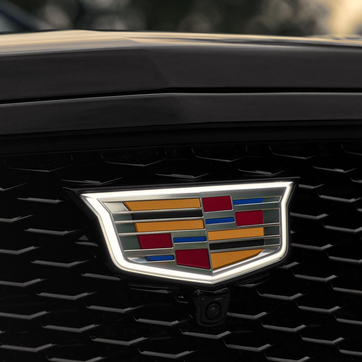 ESCALADE GALLERY
