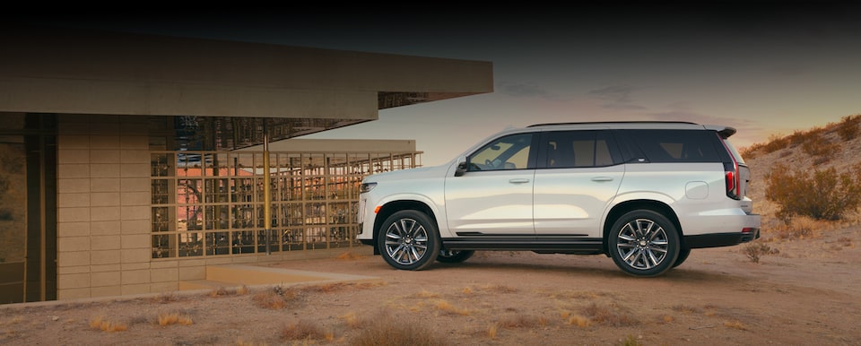 CADILLAC ASSIST 24 アシスト24