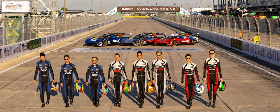 MEET OUR TEAM