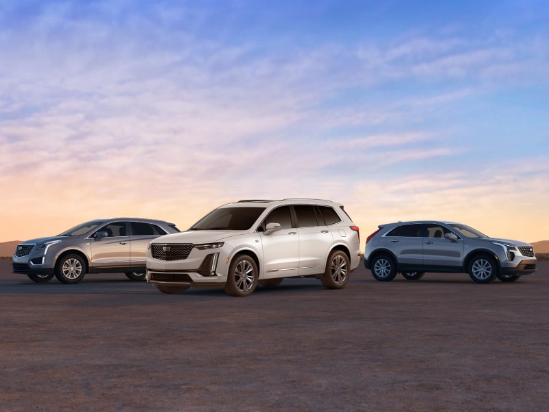 CADILLAC SUMMER DRIVE FAIR