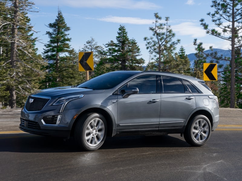 CADILLAC WINDING AUTUMN DRIVE