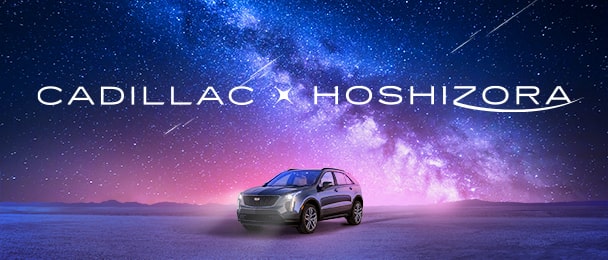 CADILLAC de HOSHIZORA