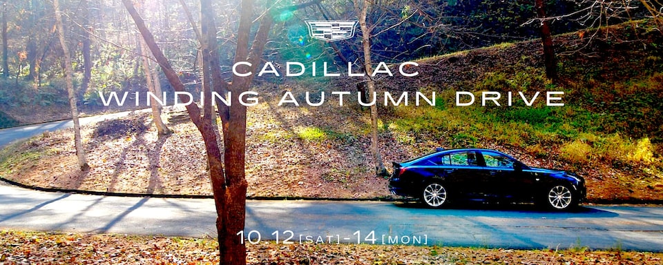 CADILLAC WINDING AUTUMN DRIVE