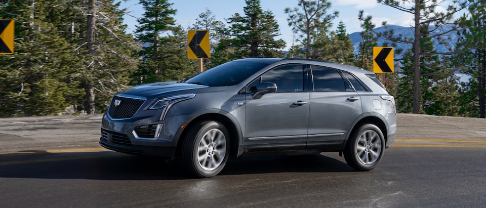 CADILLAC WINDING AUTUMN DRIVE