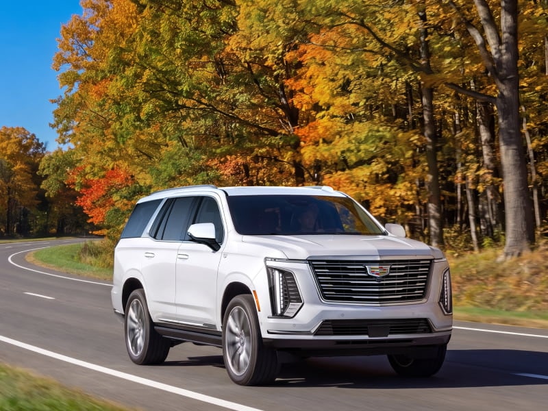 CADILLAC AUTUMN DRIVE FAIR