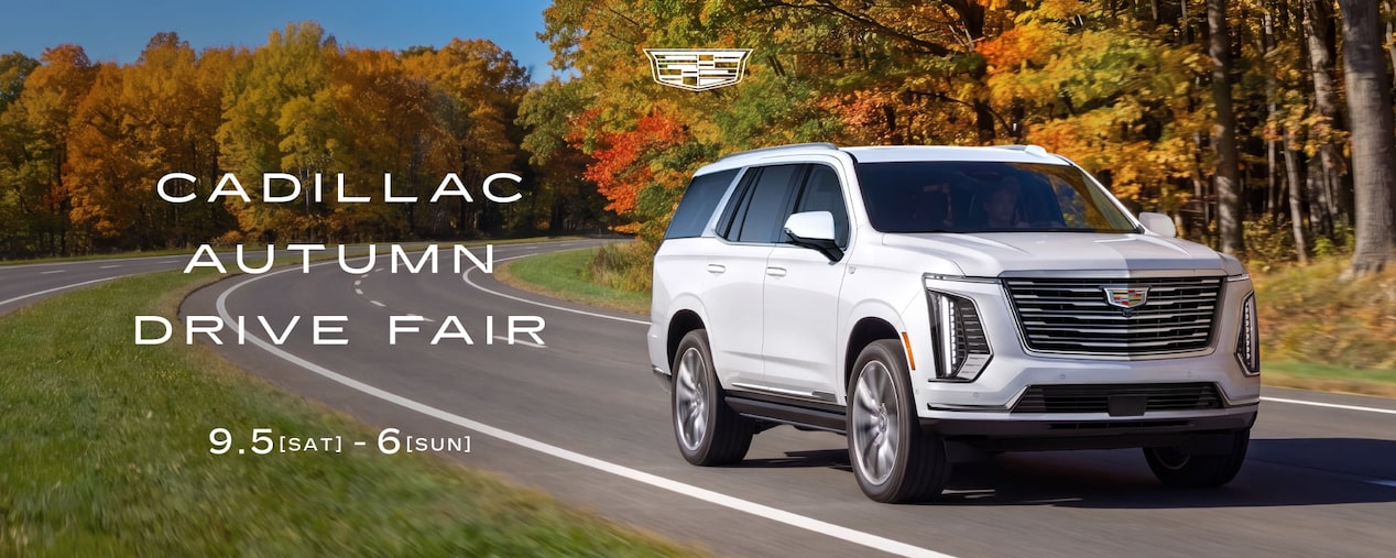 CADILLAC AUTUMN DRIVE FAIR