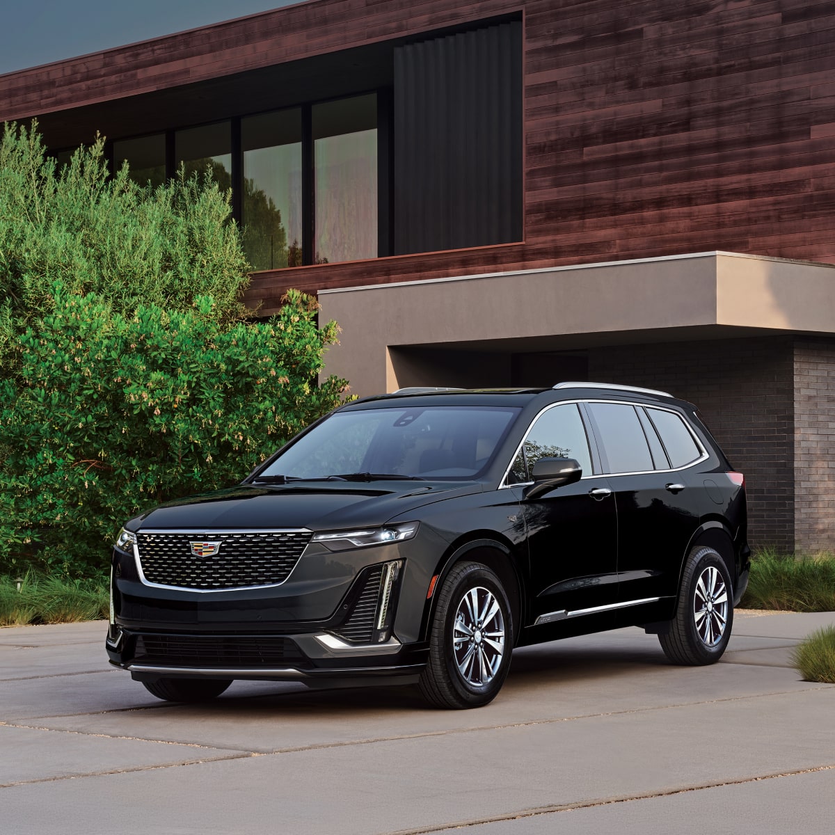 CADILLAC AUTUMN DRIVE FAIR