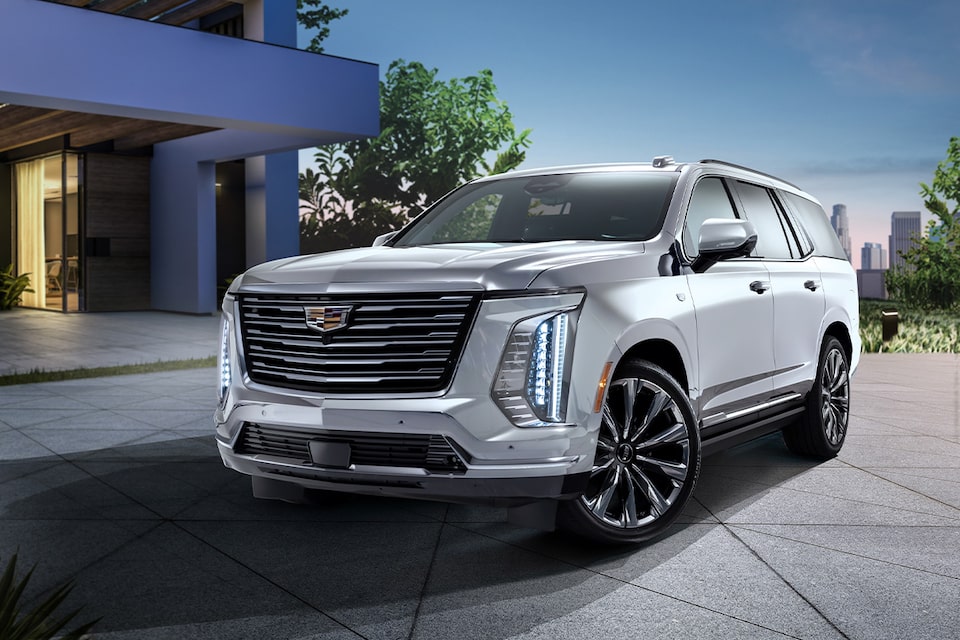ESCALADE
