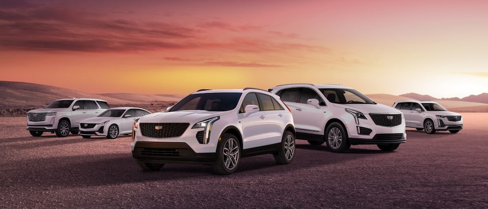 CADILLAC PLACE 2024
