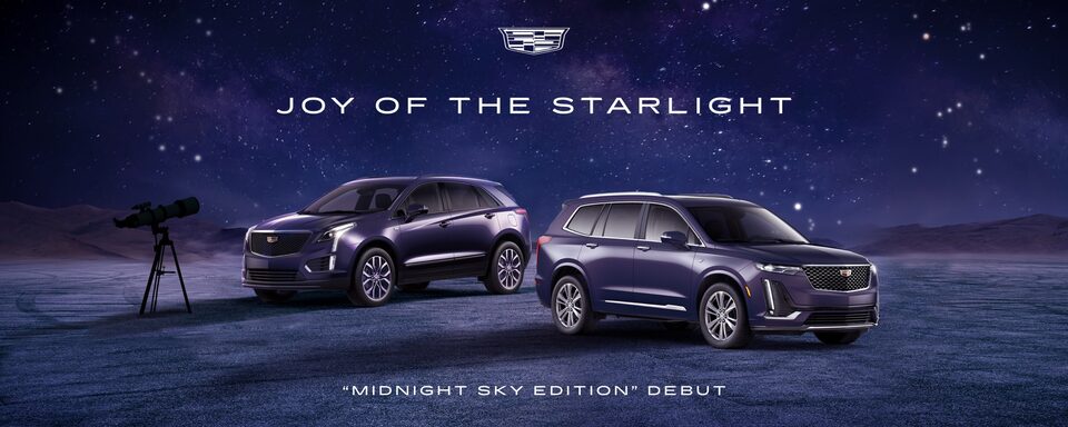 JOY OF THE STARLIGHT