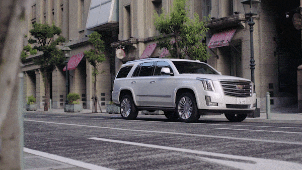 ESCALADE