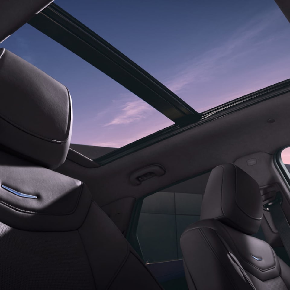 XT5 GALLERY