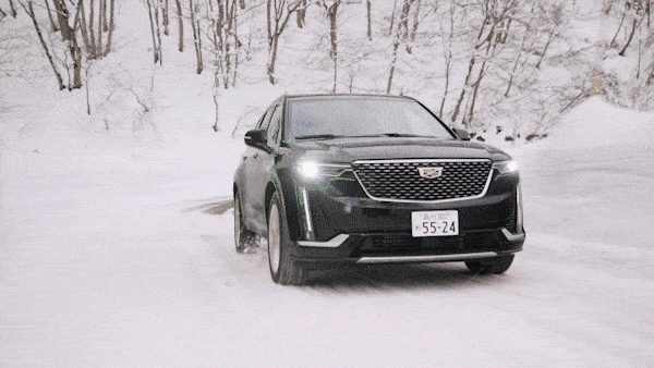 XT6