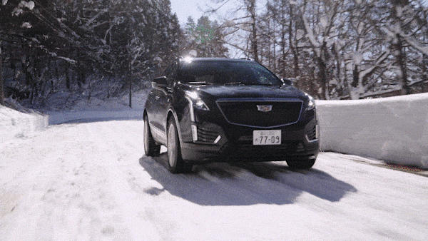 XT5