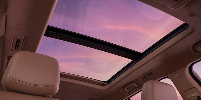 XT6 GALLERY