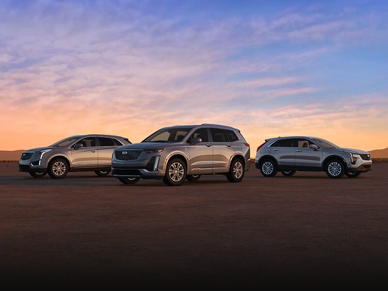A Fleet of Cadillac SUVs Parked in the Desert During Sunset